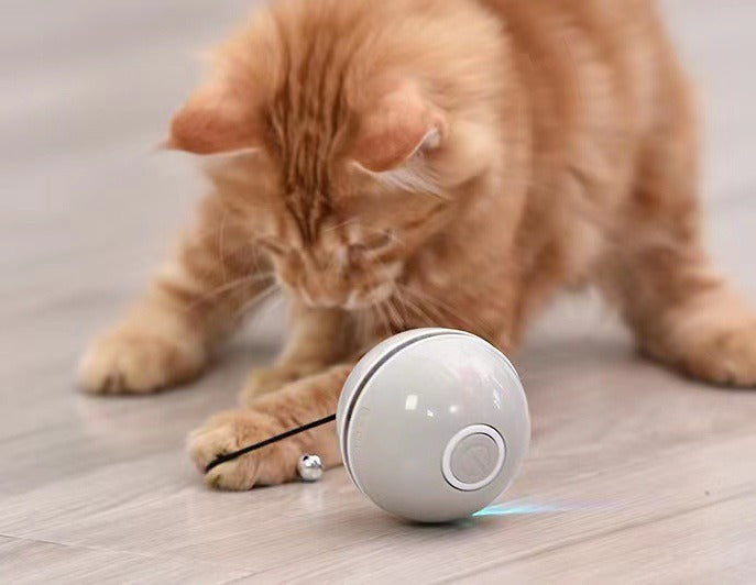 Interactive Ball Toy For Cats