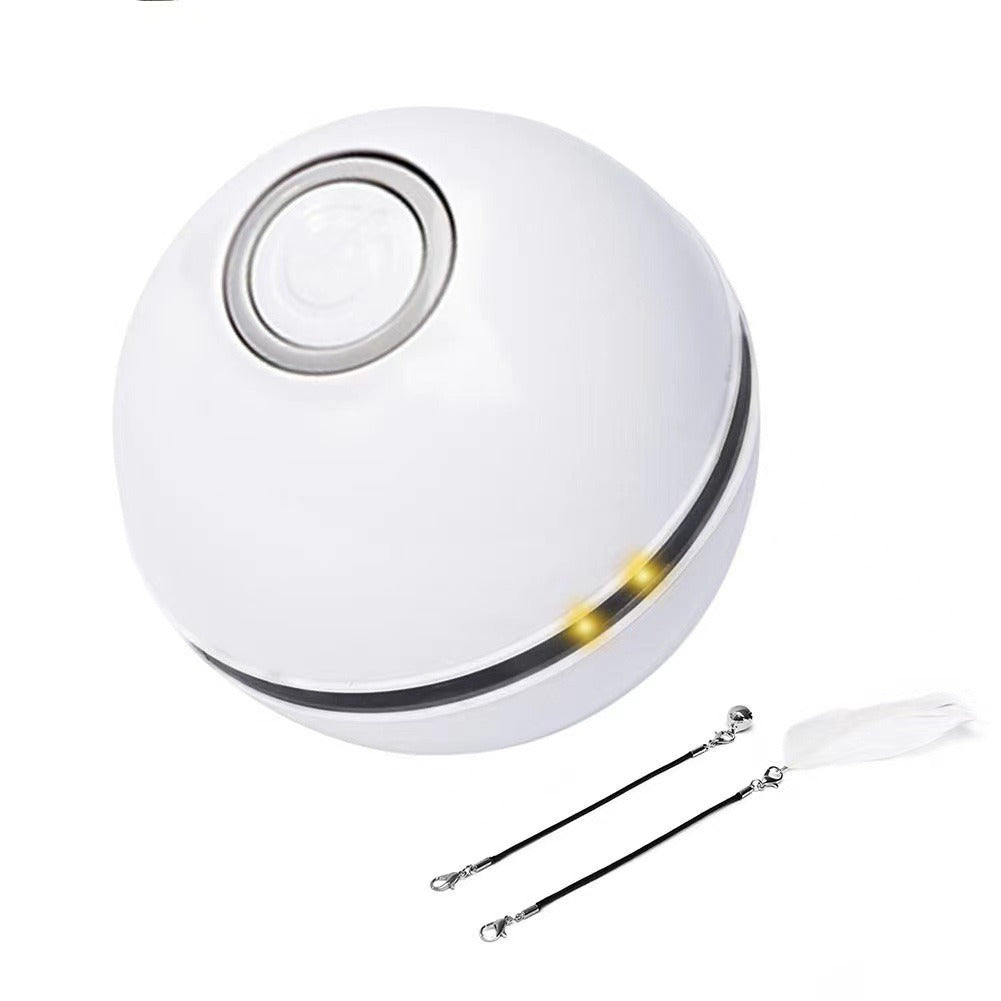 Interactive Ball Toy For Cats