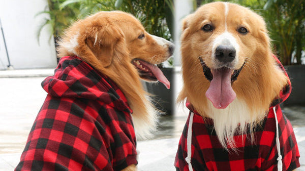 Fall And Winter Fleece Zipper Pocket Sweater For Large, Med And Small Dogs or Cats