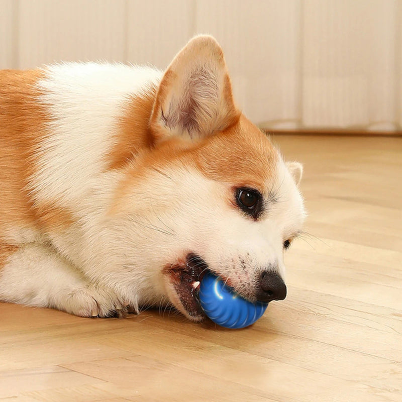 Interactive Smart Dog  Ball Toy Dogs