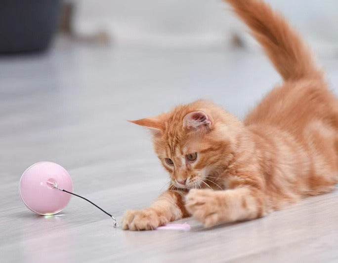 Interactive Ball Toy For Cats