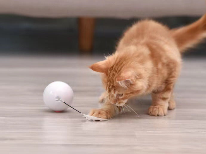 Interactive Ball Toy For Cats