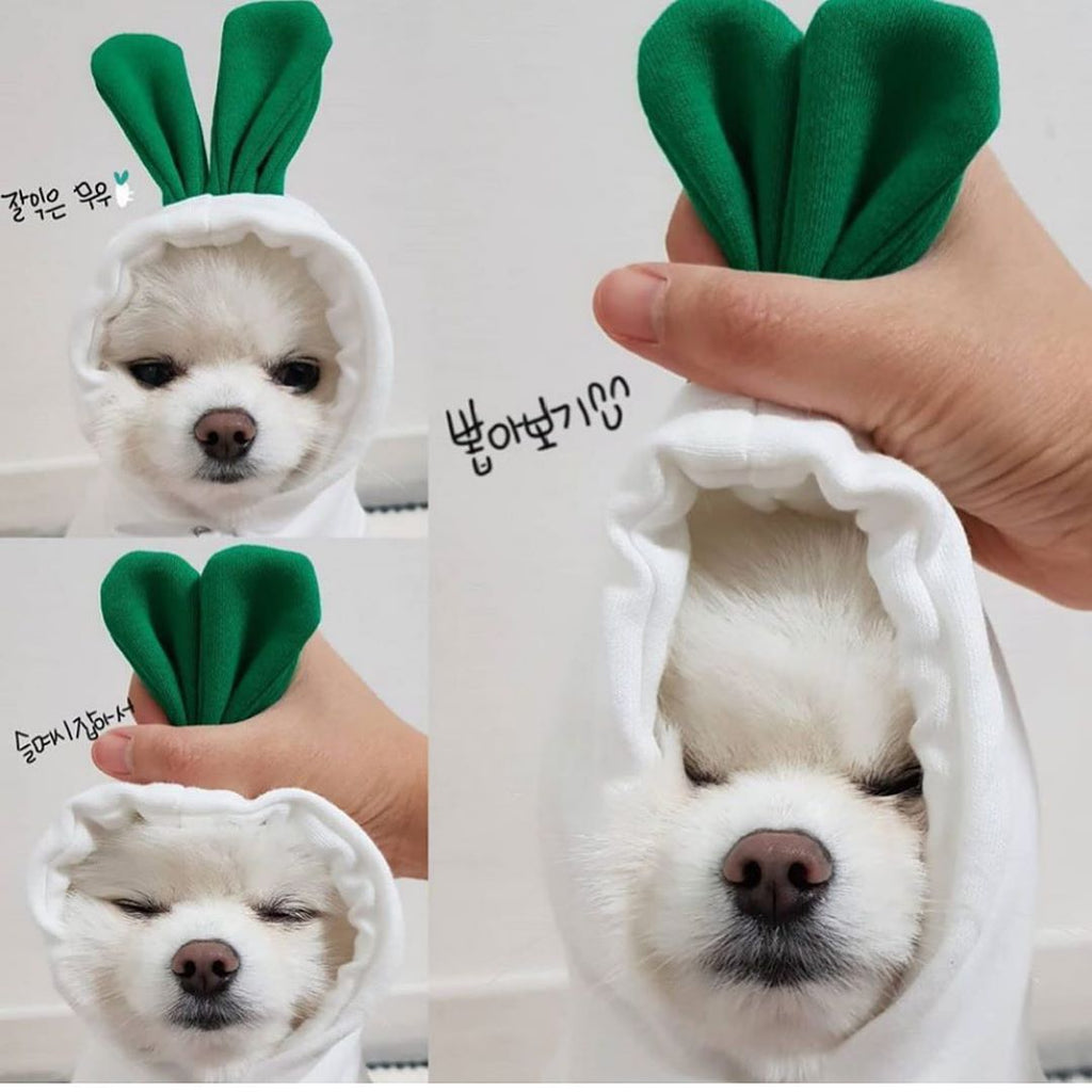 Festive Sweatshirt Fleece Hoodle for Small Medium-Sized Dogs Cats