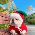 Festive Sweatshirt Fleece Hoodle for Small Medium-Sized Dogs Cats