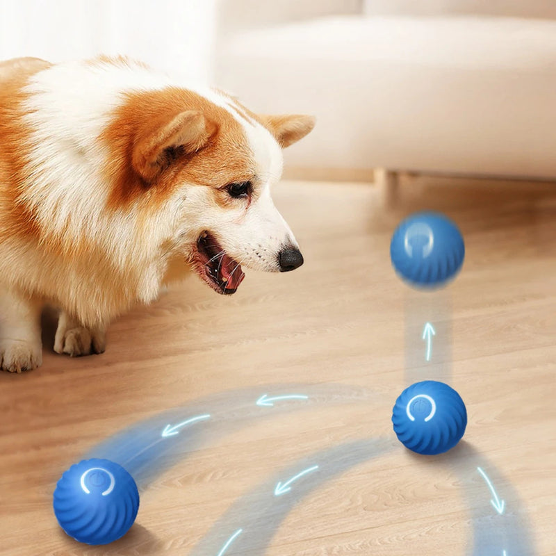 Interactive Smart Dog  Ball Toy Dogs