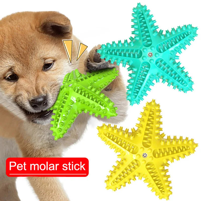 Molar Chew Star Toys Durable Enough for Aggressive Chewers