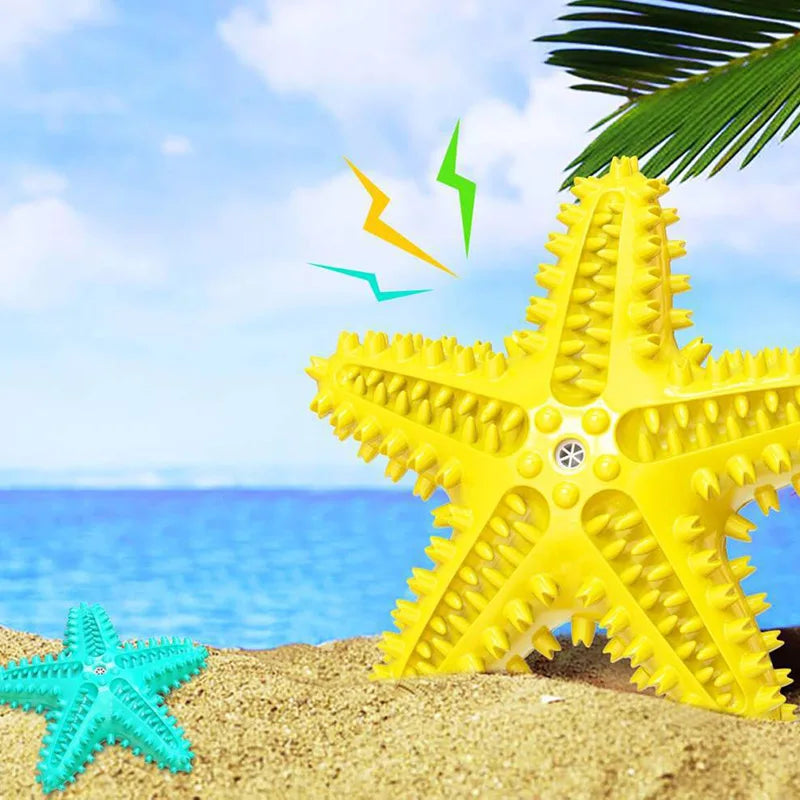 Molar Chew Star Toys Durable Enough for Aggressive Chewers