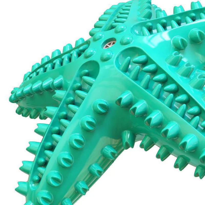 Molar Chew Star Toys Durable Enough for Aggressive Chewers